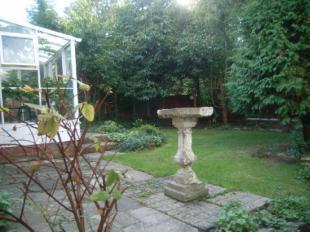 Picture No.10
