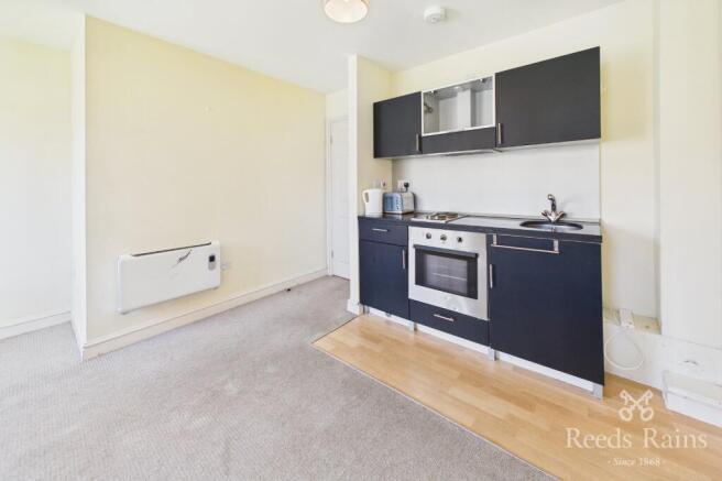 Kitchen/Living Area