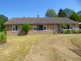 Leylandii, Aslacton Road, Norwich NR16 1LT