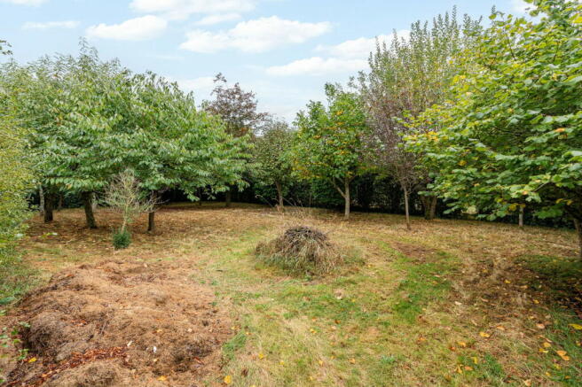 Photo 34