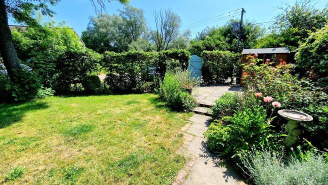 garden 3.jpg