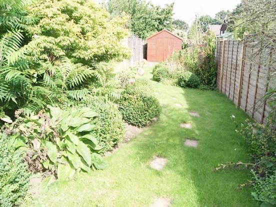garden 2