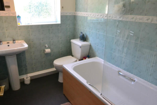 Picture 8