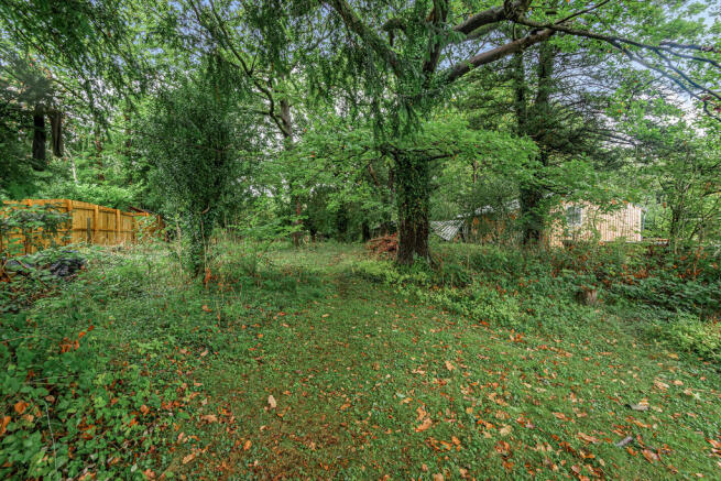 Woodland