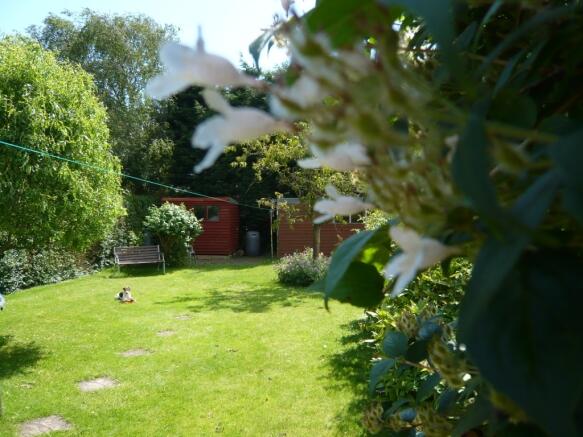 Back garden