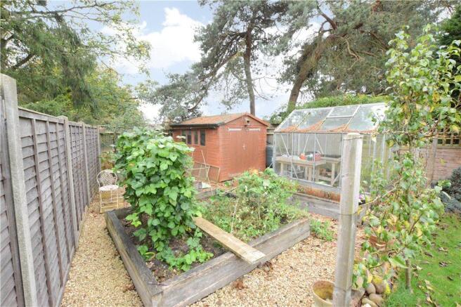 Veg Patch