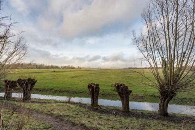 Port Meadow