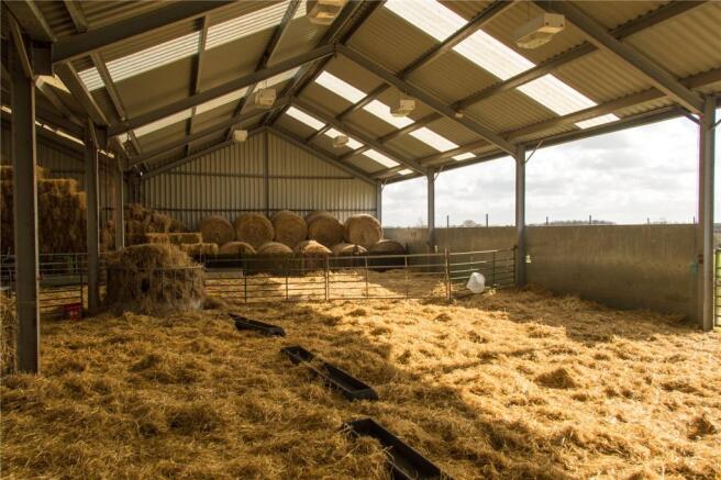 Lambing Shed