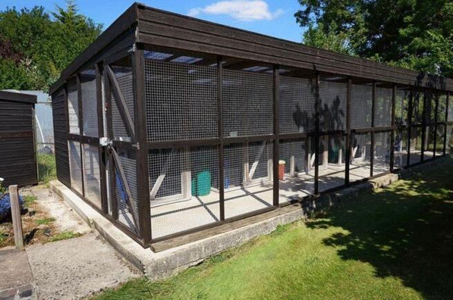 Cattery 