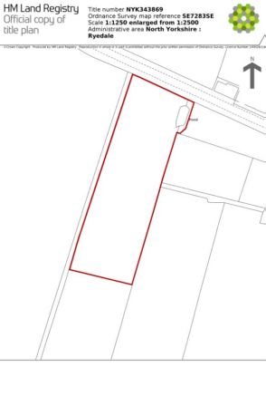 NYK343869.png