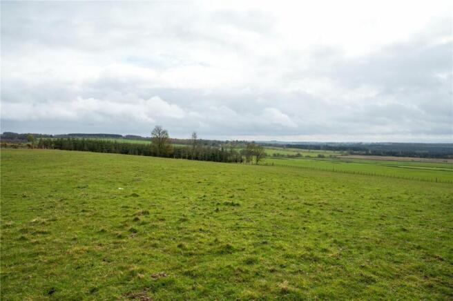 Field