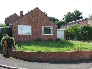 Rear Elevation
