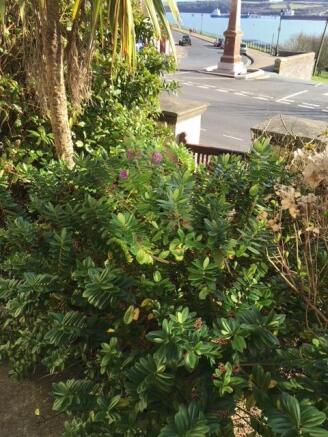 front garden.jpg