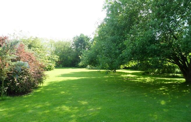 Rear garden
