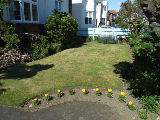 Side Garden