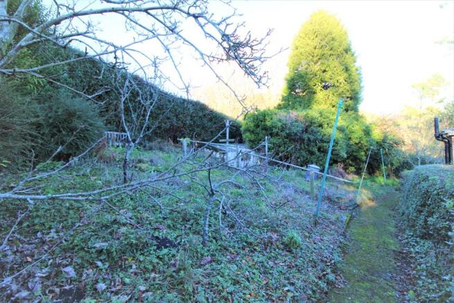 Rear garden area