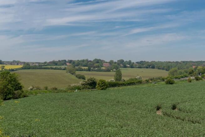 Pasture Land Lot B