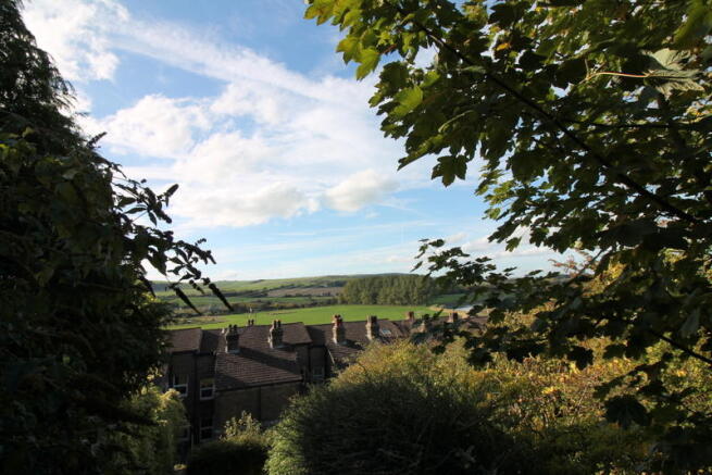 View from garden