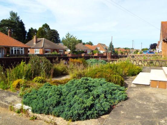 Front Garden