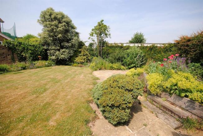 garden.JPG