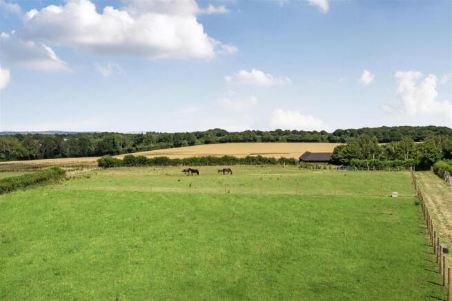 Paddocks.jpg