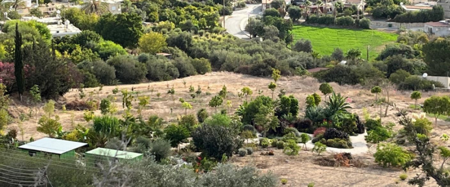 Residential Field of