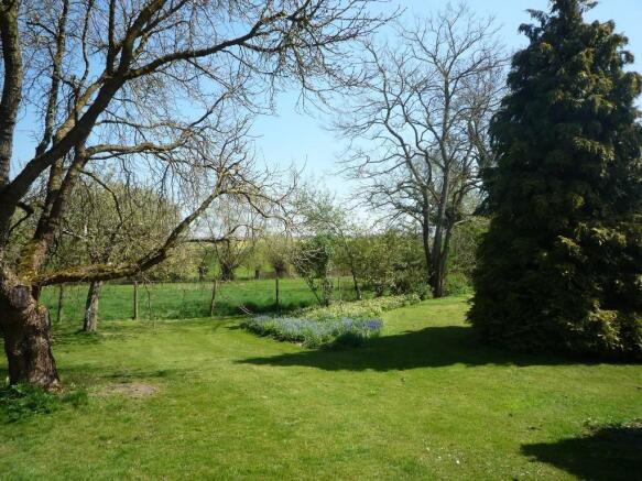 Photo 25