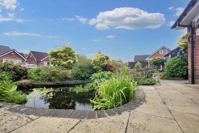Pond