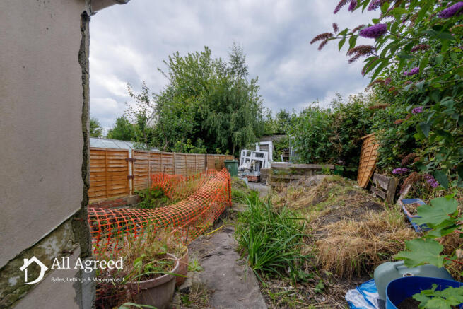 Garden 3 T202409231705.jpg
