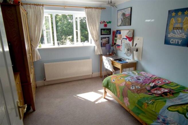 Photo 11