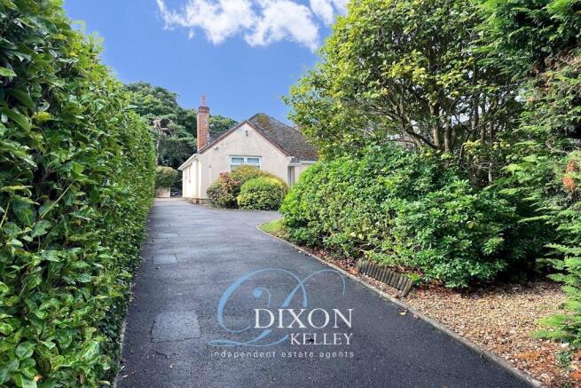 6h (Copy) enhanced watermark