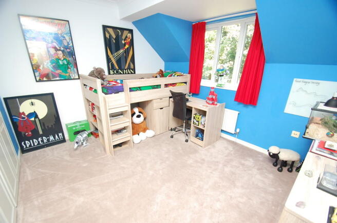 Photo 12