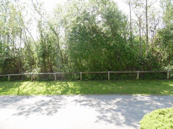 Shared Driveway