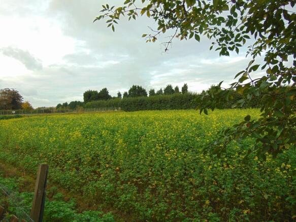 Field views