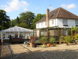 Rear Gardens