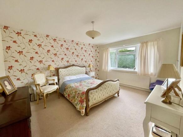 IMG_3524.jpg