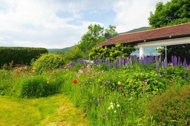 Wildflower beds