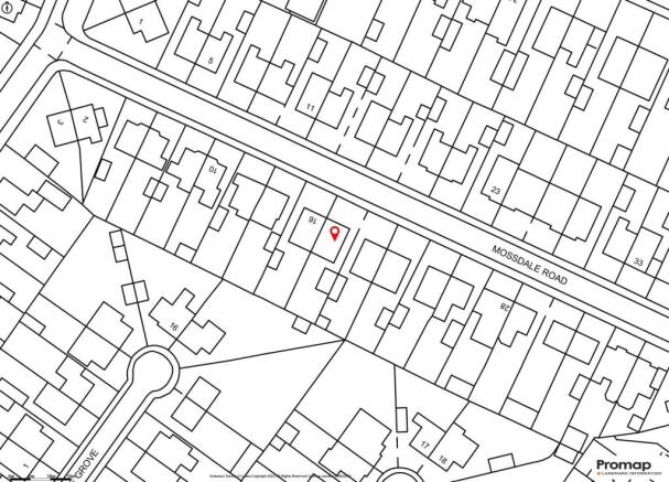 Site Plan.jpg