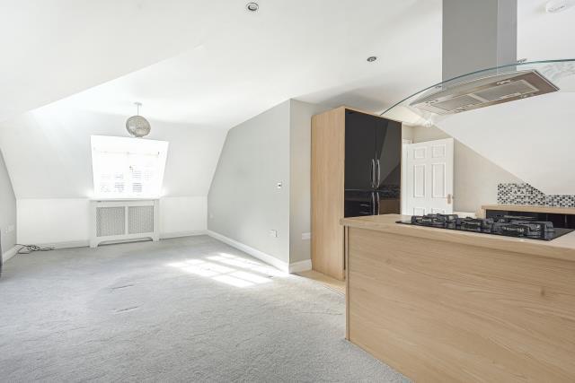 Kitchen / Living Are