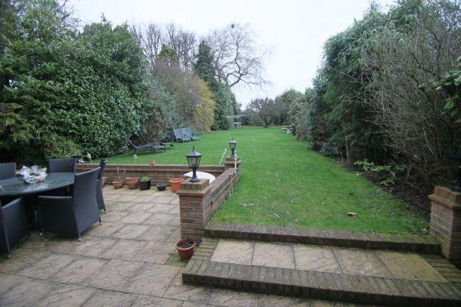 Photo 15