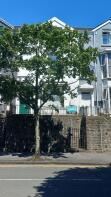 69, Mansel Street, Mount Pleasant, Swansea SA1 5TN