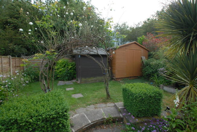 Photo 16