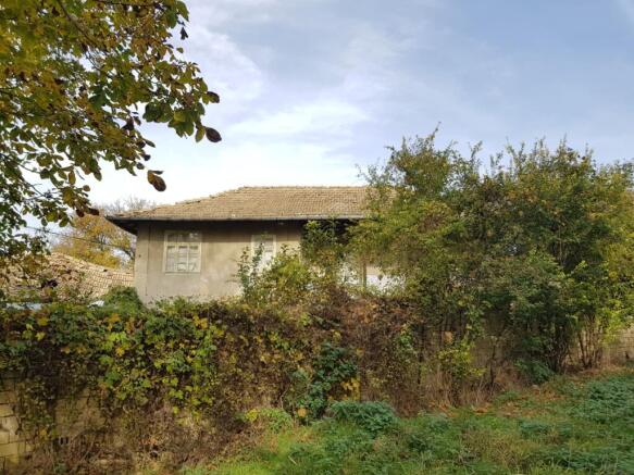 Side view of the house surrounded by trees and bushes, showing windows and part of the roof