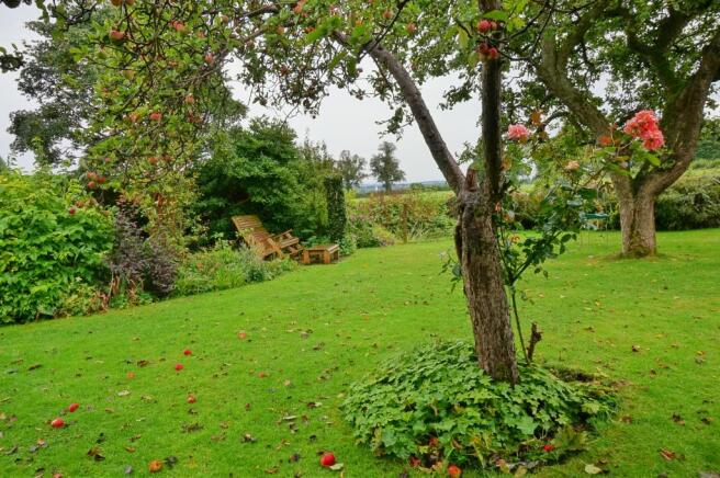 Garden 6