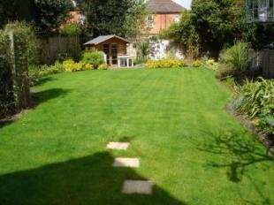 Rear garden
