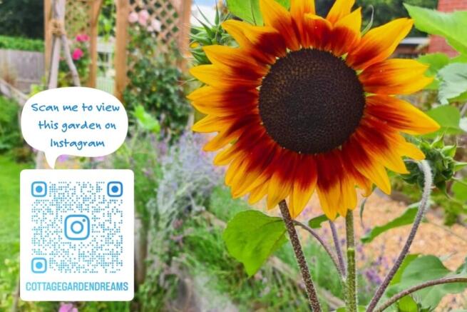 Scan me to view this garden on Instagram