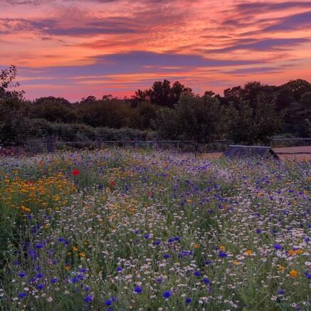 Paddock At Dusk