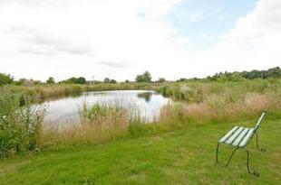 Wildlife Pond