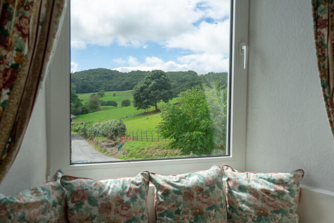 View from bedroom...