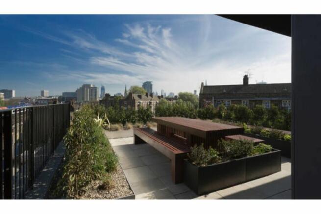 Roof Top Terrace